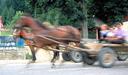 Rustic life in Moldavia.